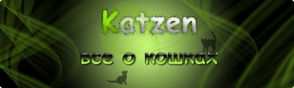 Все о кошках!